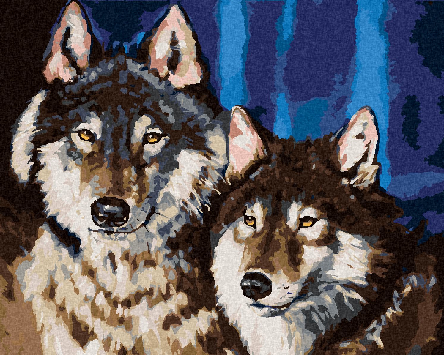 zuty Malování podle čísel - PÁR VLKŮ - Rozměr: 40x50 cm, Rámování: Varianta: vypnuté plátno na rám - obrázek 1
