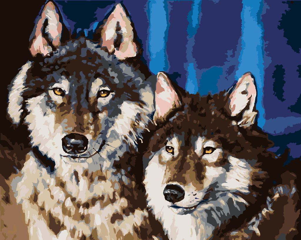 zuty Malování podle čísel - PÁR VLKŮ - Rozměr: 40x50 cm, Rámování: Varianta: vypnuté plátno na rám - obrázek 2