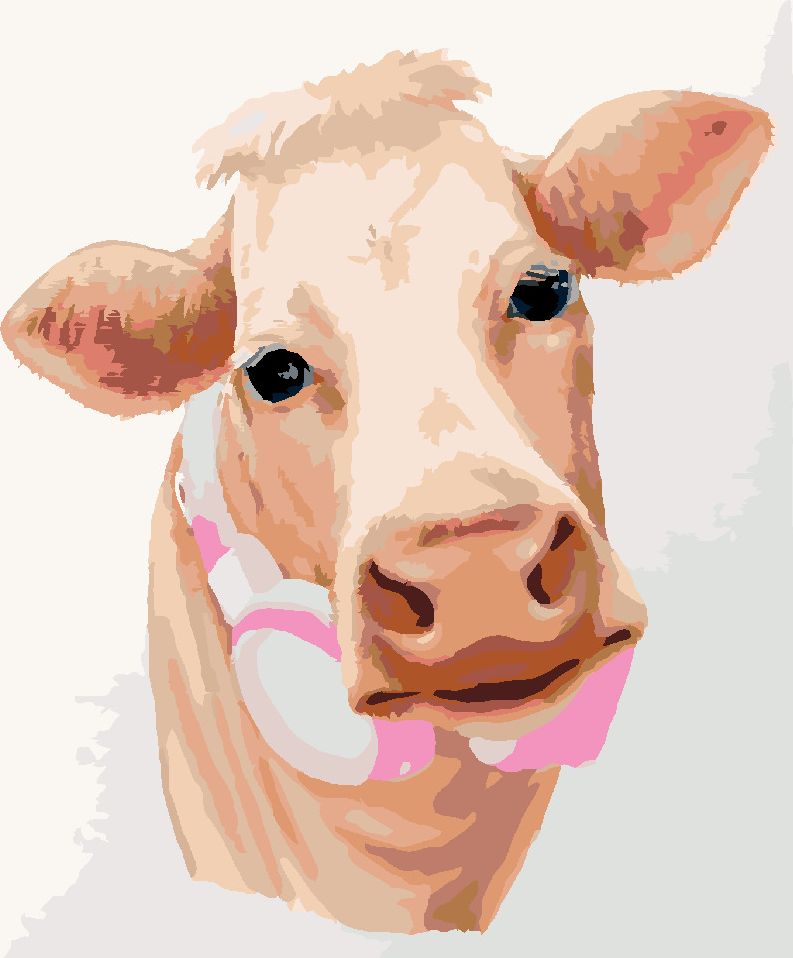 zuty Malování podle čísel - KRÁVA SE SLUCHÁTKY (MYROSLAVA VOLOSCHUK) - Rozměr: 40x50 cm, Rámování: Varianta: vypnuté plátno na rám - obrázek 2