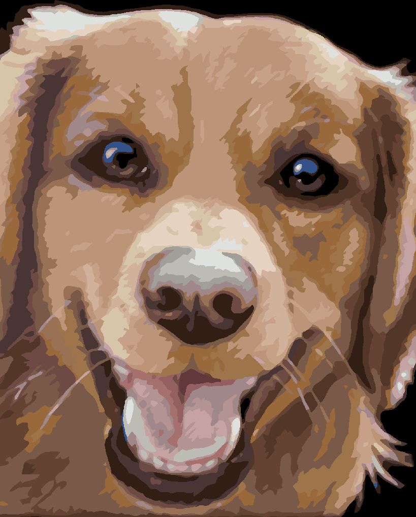 zuty Malování podle čísel - ZLATÝ RETRÍVR (MYROSLAVA VOLOSCHUK) - Rozměr: 40x50 cm, Rámování: Varianta: vypnuté plátno na rám - obrázek 6