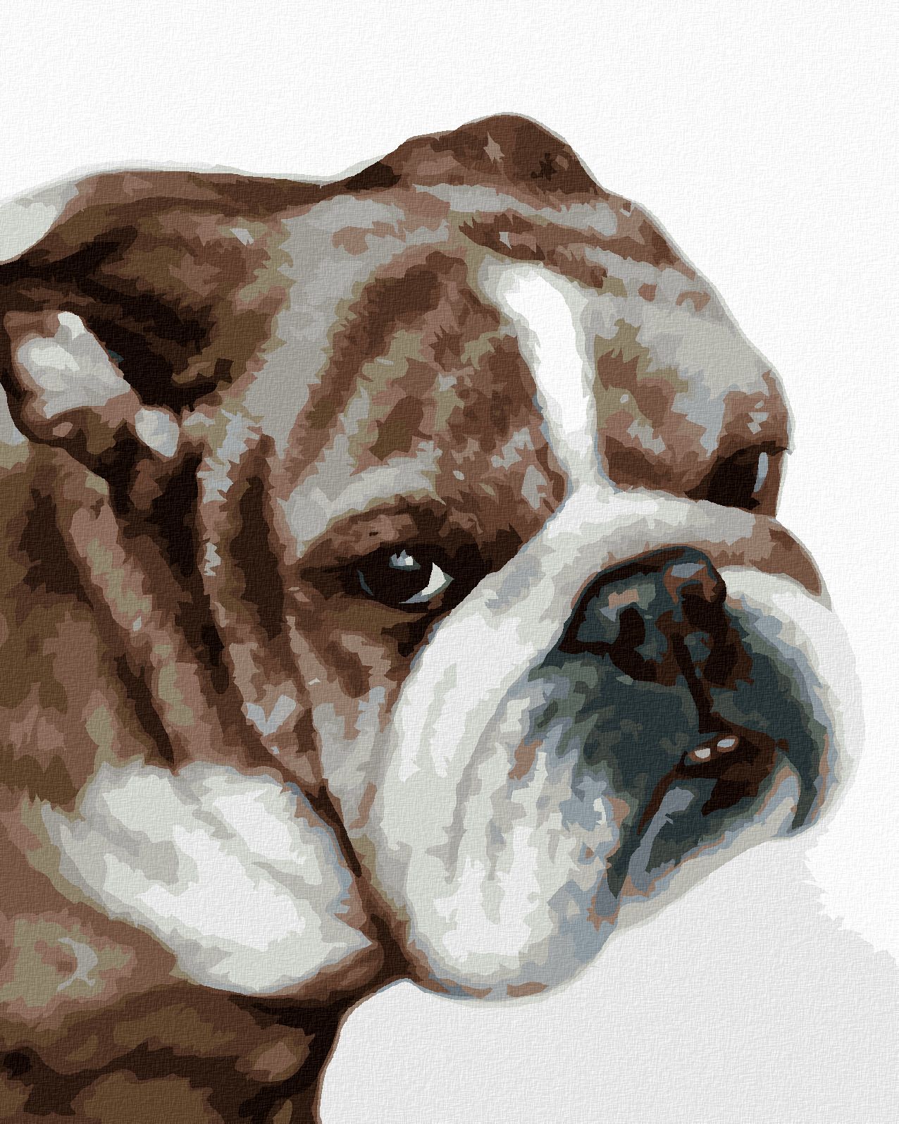 zuty Malování podle čísel - BULLDOG (MYROSLAVA VOLOSCHUK) - Rozměr: 40x50 cm, Rámování: Varianta: vypnuté plátno na rám - obrázek 1