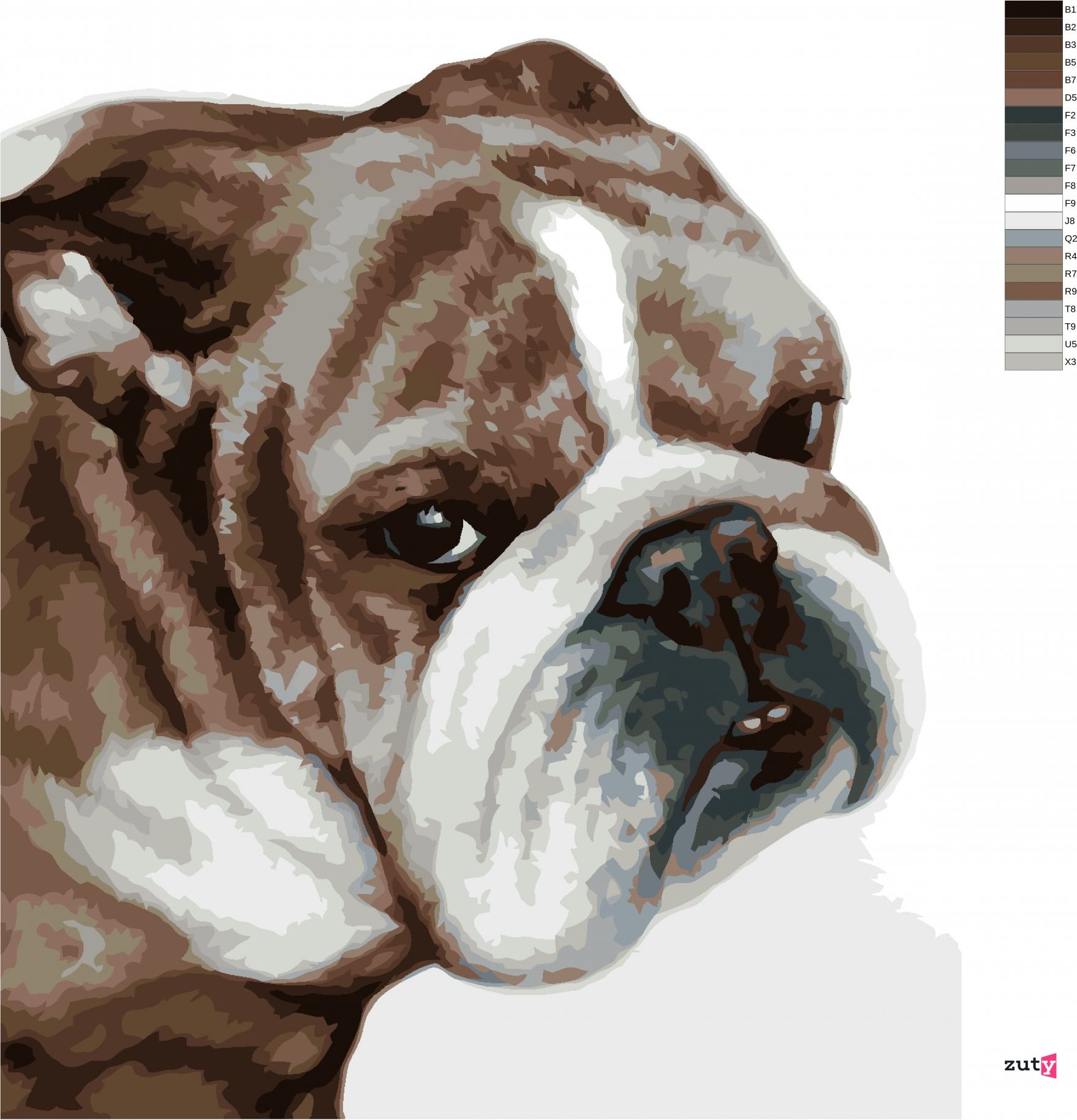 zuty Malování podle čísel - BULLDOG (MYROSLAVA VOLOSCHUK) - Rozměr: 40x50 cm, Rámování: Varianta: vypnuté plátno na rám - obrázek 3