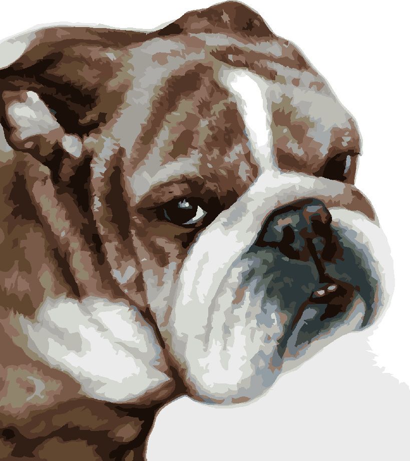 zuty Malování podle čísel - BULLDOG (MYROSLAVA VOLOSCHUK) - Rozměr: 40x50 cm, Rámování: Varianta: vypnuté plátno na rám - obrázek 9