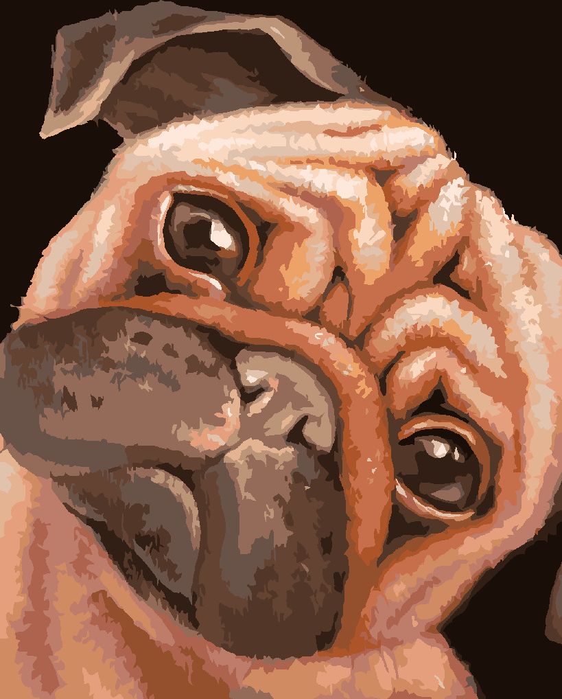 zuty Malování podle čísel - HNĚDÝ MOPSÍK (MYROSLAVA VOLOSCHUK) - Rozměr: 40x50 cm, Rámování: Varianta: vypnuté plátno na rám - obrázek 9