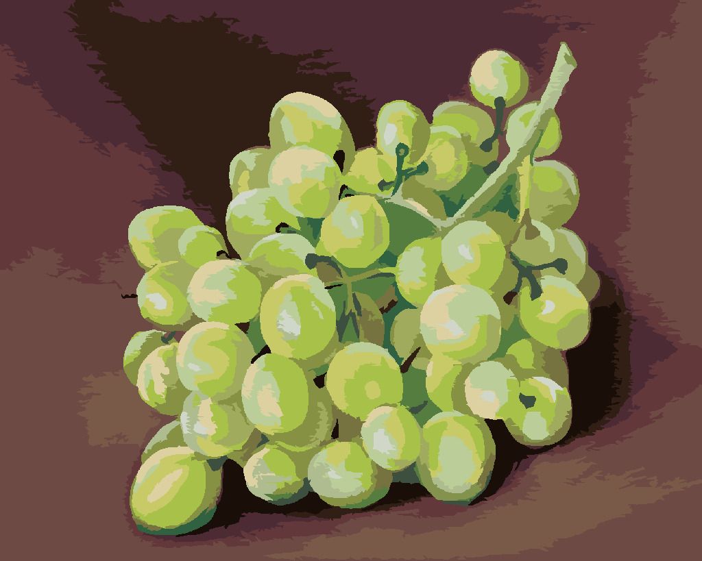 zuty Malování podle čísel - HROZNY (MYROSLAVA VOLOSCHUK) - Rozměr: 40x50 cm, Rámování: Varianta: vypnuté plátno na rám - obrázek 8