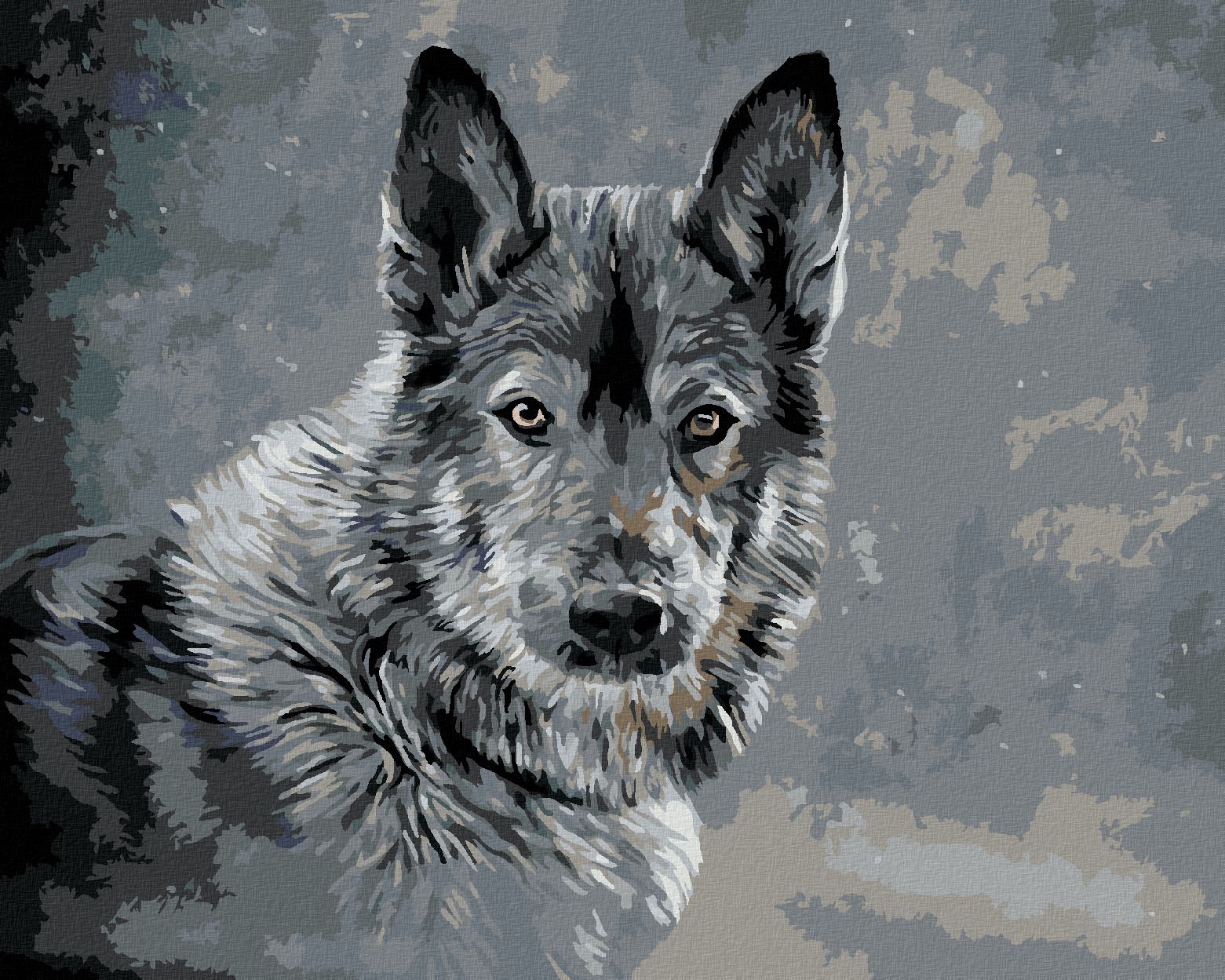 zuty Malování podle čísel - VLK NA ŠEDÉM POZADÍ - Rozměr: 40x50 cm, Rámování: Varianta: vypnuté plátno na rám - obrázek 1