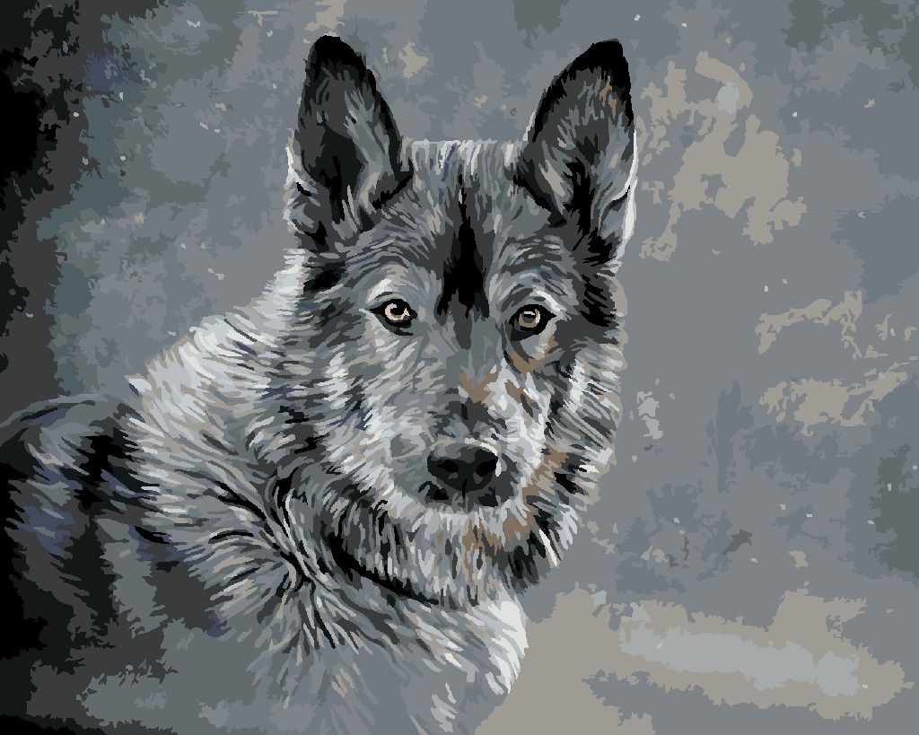 zuty Malování podle čísel - VLK NA ŠEDÉM POZADÍ - Rozměr: 40x50 cm, Rámování: Varianta: vypnuté plátno na rám - obrázek 3