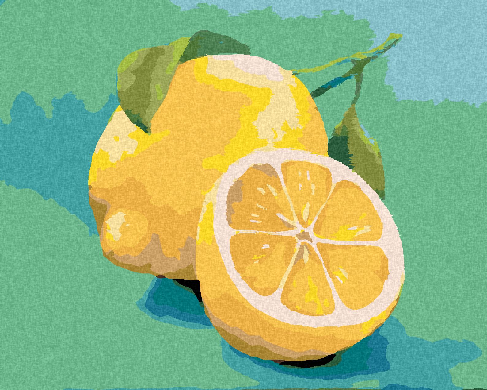 zuty Malování podle čísel - CITRÓN 3 (MYROSLAVA VOLOSCHUK) - Rozměr: 40x50 cm, Rámování: Varianta: vypnuté plátno na rám - obrázek 1
