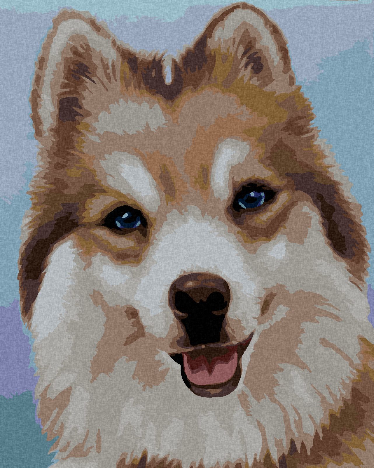 zuty Malování podle čísel - HUSKY (MYROSLAVA VOLOSCHUK) - Rozměr: 40x50 cm, Rámování: Varianta: vypnuté plátno na rám - obrázek 1