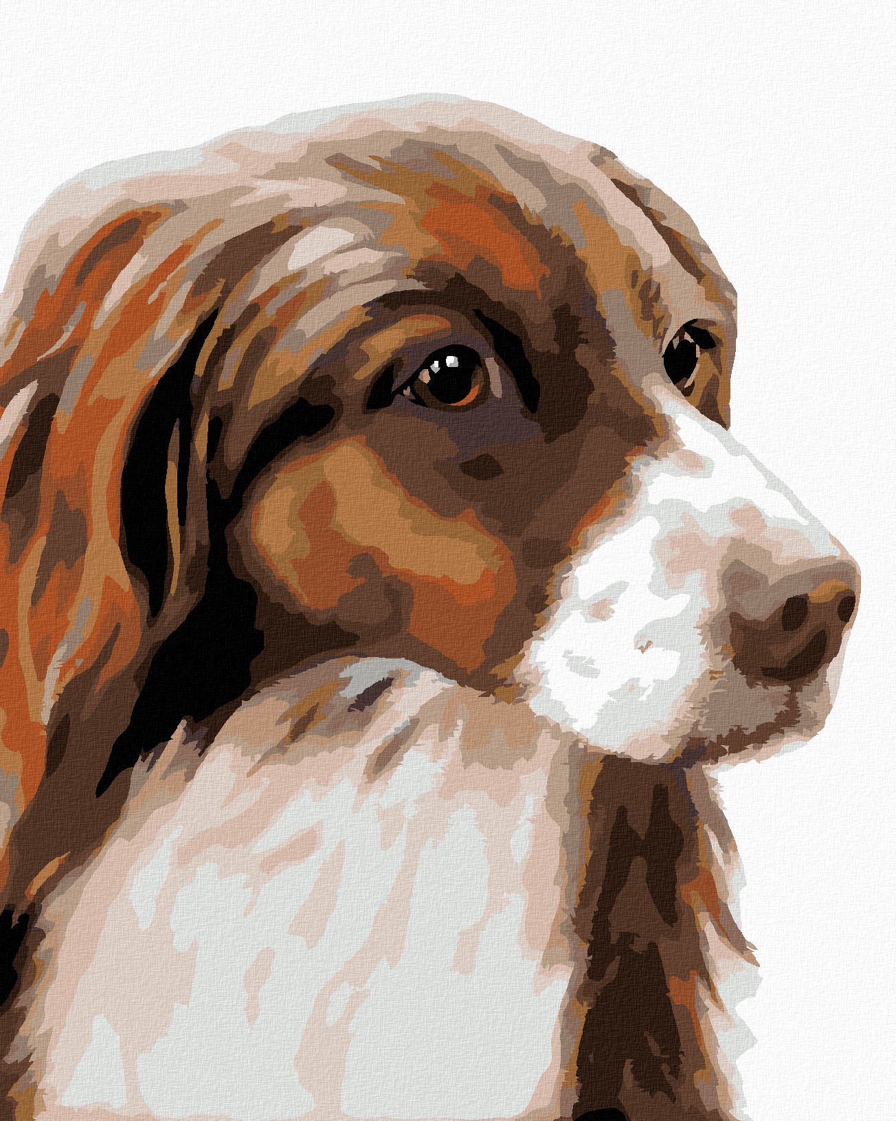 zuty Malování podle čísel - KOKRŠPANĚL (MYROSLAVA VOLOSCHUK) - Rozměr: 40x50 cm, Rámování: Varianta: vypnuté plátno na rám - obrázek 1