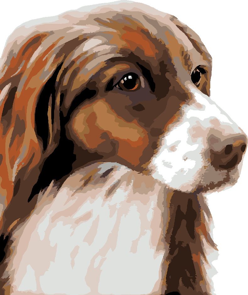 zuty Malování podle čísel - KOKRŠPANĚL (MYROSLAVA VOLOSCHUK) - Rozměr: 40x50 cm, Rámování: Varianta: vypnuté plátno na rám - obrázek 5