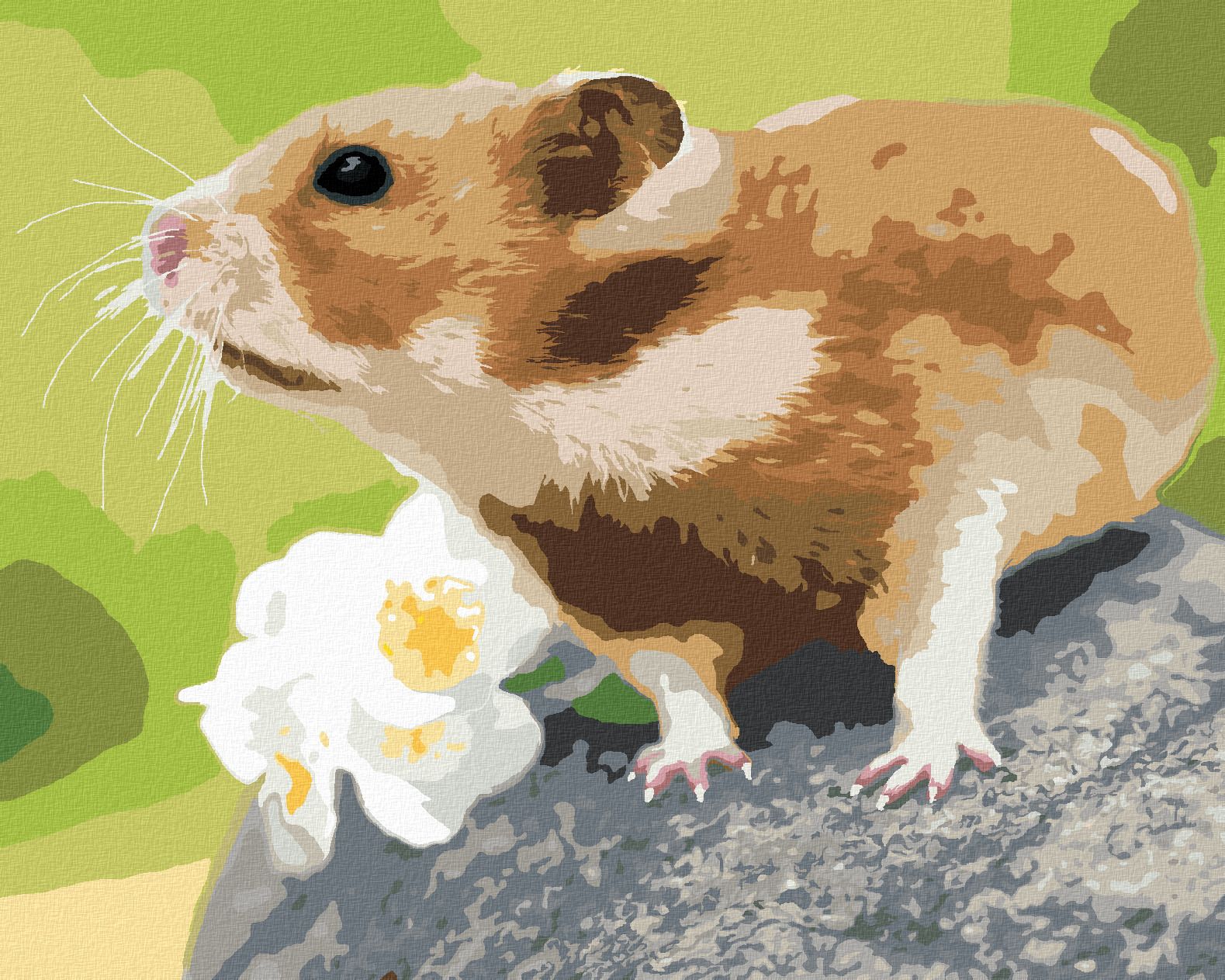 zuty Malování podle čísel - KŘEČEK NA KAMENI - Rozměr: 40x50 cm, Rámování: Varianta: bez rámu a bez vypnutí plátna - obrázek 1