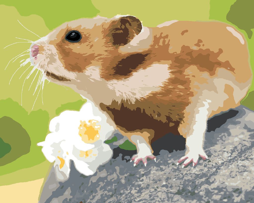 zuty Malování podle čísel - KŘEČEK NA KAMENI - Rozměr: 40x50 cm, Rámování: Varianta: bez rámu a bez vypnutí plátna - obrázek 6