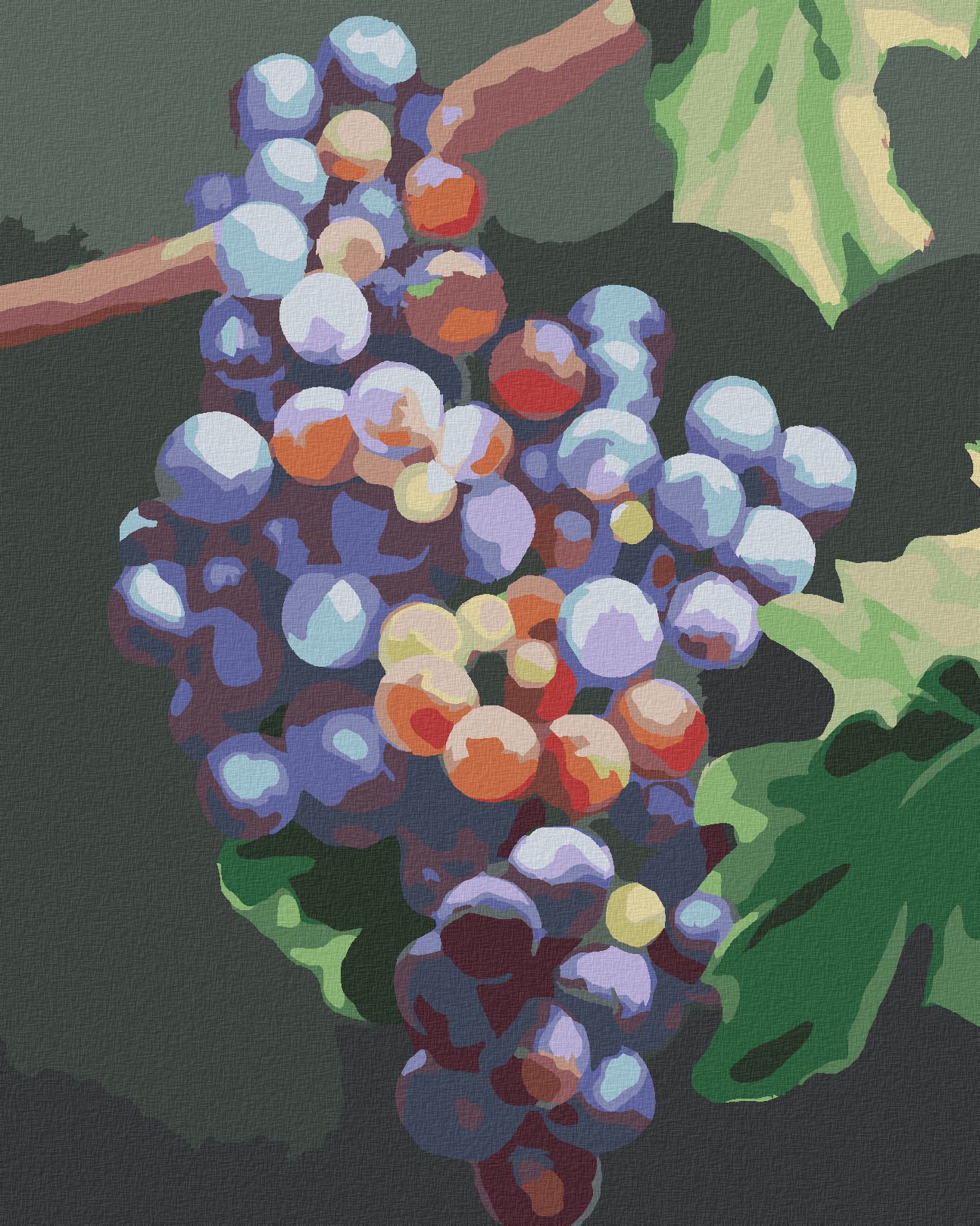 zuty Malování podle čísel - MODRÉ HROZNO (MYROSLAVA VOLOSCHUK) - Rozměr: 40x50 cm, Rámování: Varianta: vypnuté plátno na rám - obrázek 1