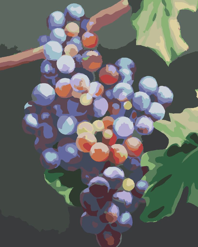 zuty Malování podle čísel - MODRÉ HROZNO (MYROSLAVA VOLOSCHUK) - Rozměr: 40x50 cm, Rámování: Varianta: vypnuté plátno na rám - obrázek 8