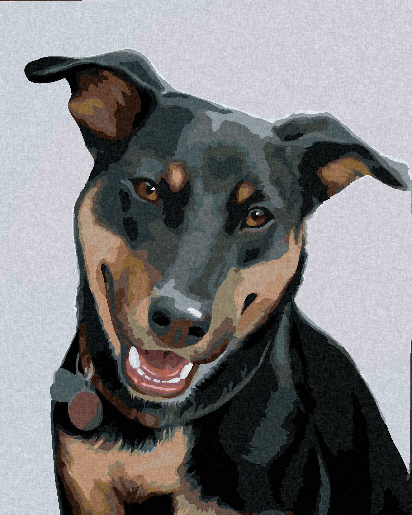 zuty Malování podle čísel - ROTVAJLER 2 (MYROSLAVA VOLOSCHUK) - Rozměr: 40x50 cm, Rámování: Varianta: bez rámu a bez vypnutí plátna - obrázek 1