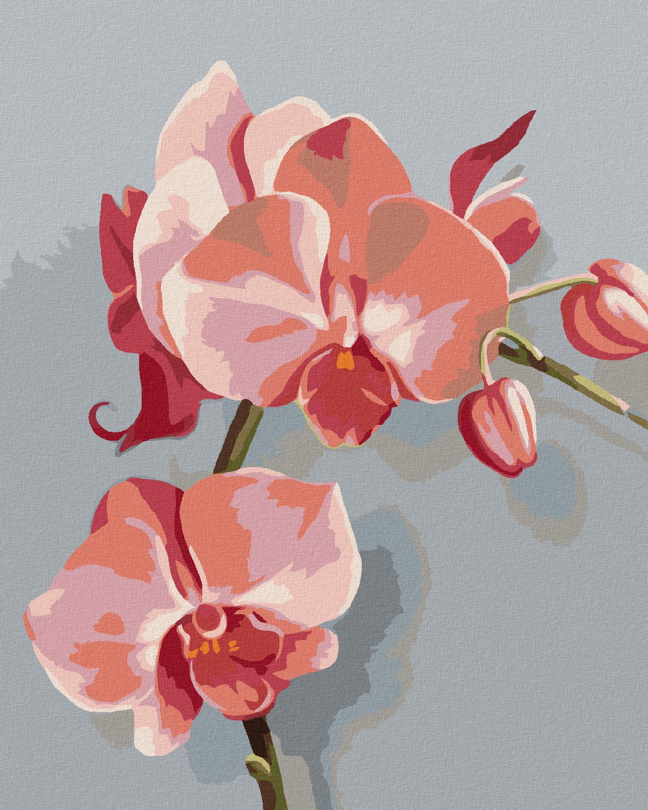 zuty Malování podle čísel - RŮŽOVÁ ORCHIDEI (MYROSLAVA VOLOSCHUK) - Rozměr: 40x50 cm, Rámování: Varianta: bez rámu a bez vypnutí plátna - obrázek 1