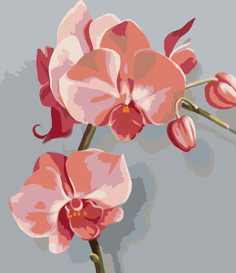 zuty Malování podle čísel - RŮŽOVÁ ORCHIDEI (MYROSLAVA VOLOSCHUK) - Rozměr: 40x50 cm, Rámování: Varianta: bez rámu a bez vypnutí plátna - obrázek 3