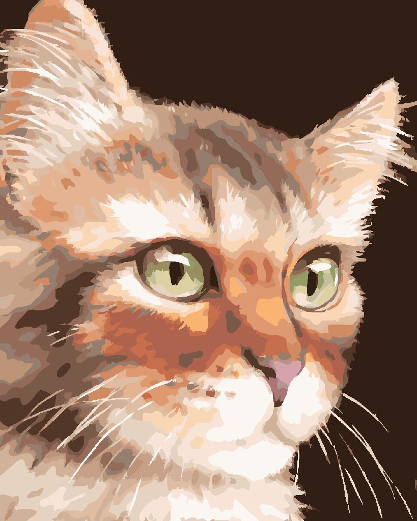 zuty Malování podle čísel - KOČKA (MYROSLAVA VOLOSCHUK) - Rozměr: 40x50 cm, Rámování: Varianta: vypnuté plátno na rám - obrázek 10