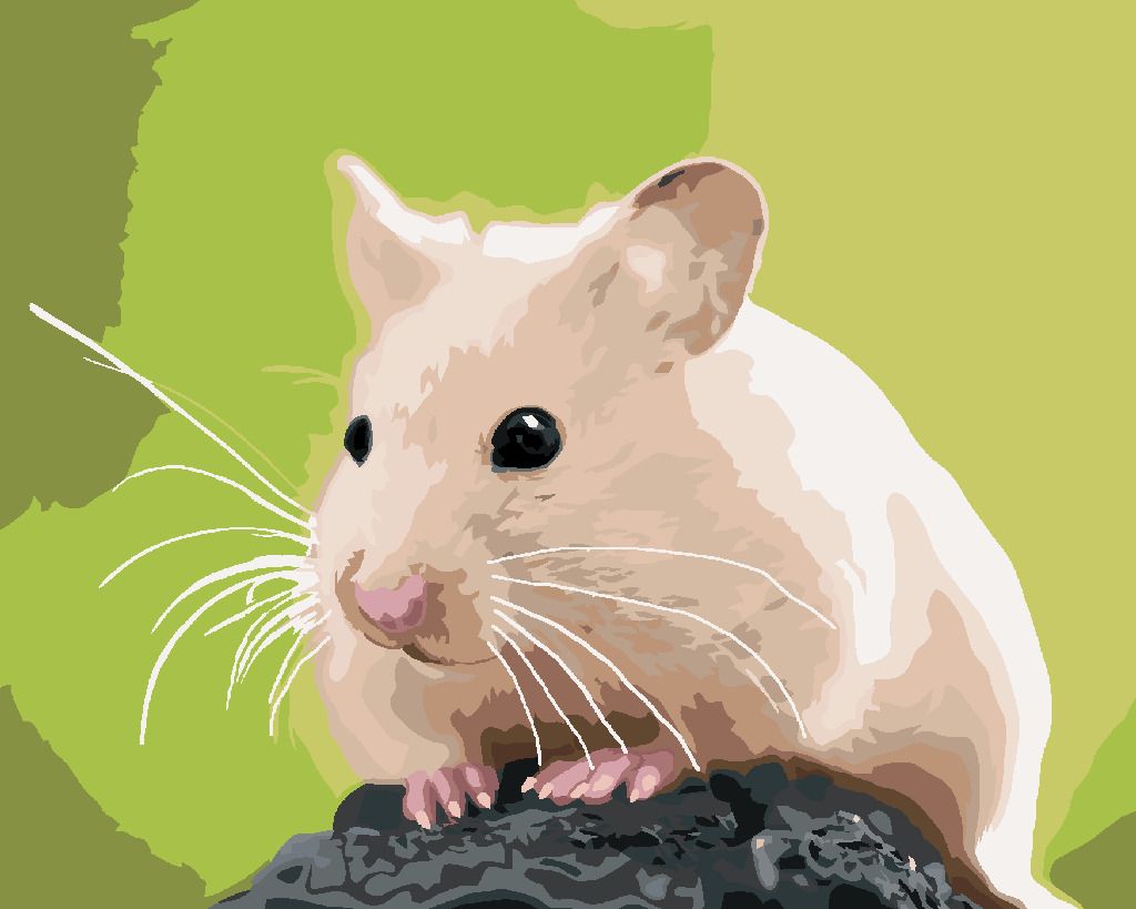 zuty Malování podle čísel - ZLATÝ KŘEČEK NA KAMENI - Rozměr: 40x50 cm, Rámování: Varianta: vypnuté plátno na rám - obrázek 7