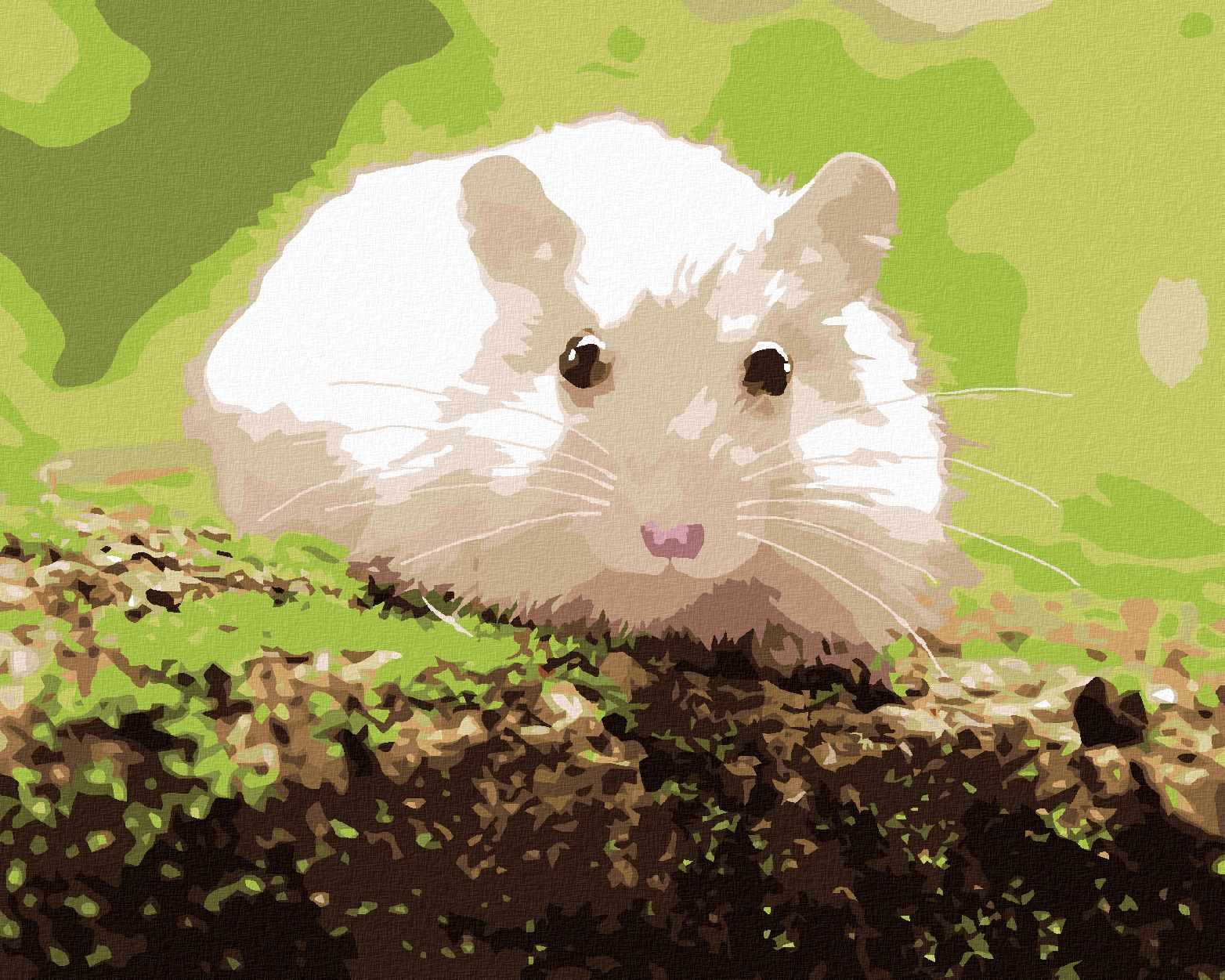 zuty Malování podle čísel - BÍLÝ KŘEČEK V LESE - Rozměr: 40x50 cm, Rámování: Varianta: vypnuté plátno na rám - obrázek 1