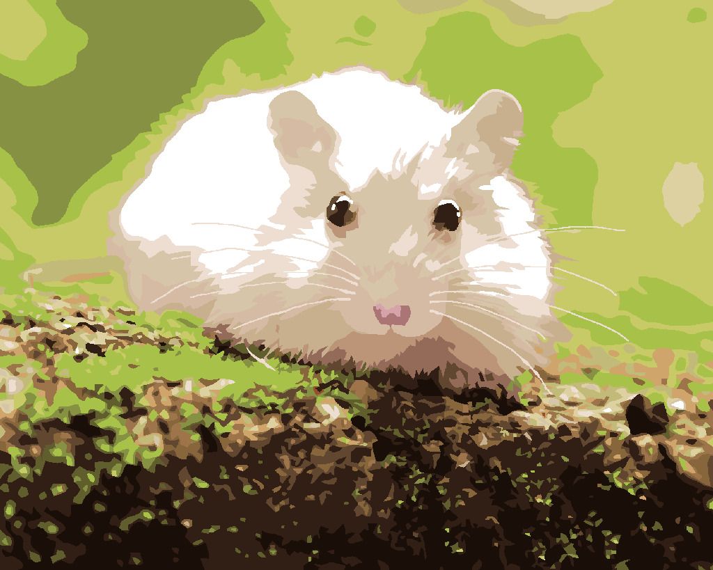 zuty Malování podle čísel - BÍLÝ KŘEČEK V LESE - Rozměr: 40x50 cm, Rámování: Varianta: vypnuté plátno na rám - obrázek 3