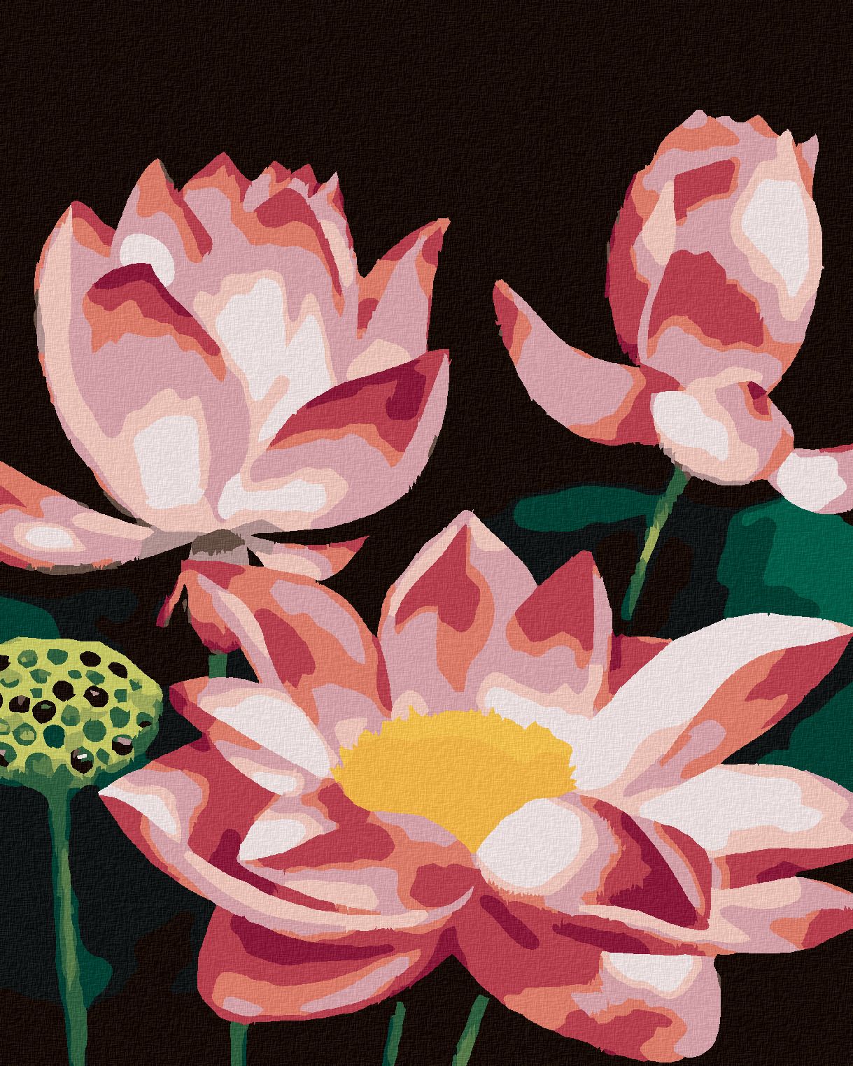 zuty Malování podle čísel - RŮŽOVÝ LEKNÍN (MYROSLAVA VOLOSCHUK) - Rozměr: 40x50 cm, Rámování: Varianta: vypnuté plátno na rám - obrázek 1