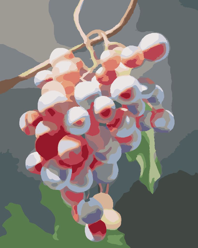 zuty Malování podle čísel - HROZNY 2 (MYROSLAVA VOLOSCHUK) - Rozměr: 40x50 cm, Rámování: Varianta: vypnuté plátno na rám - obrázek 3