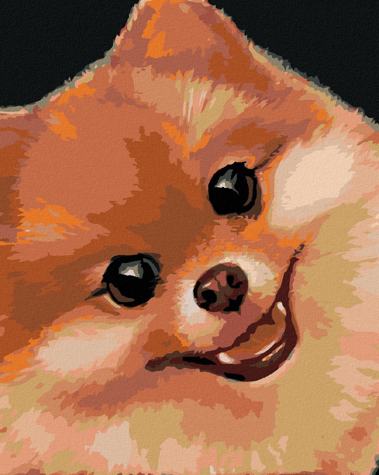 zuty Malování podle čísel - POMERANIAN (MYROSLAVA VOLOSCHUK) - Rozměr: 40x50 cm, Rámování: Varianta: vypnuté plátno na rám - obrázek 1