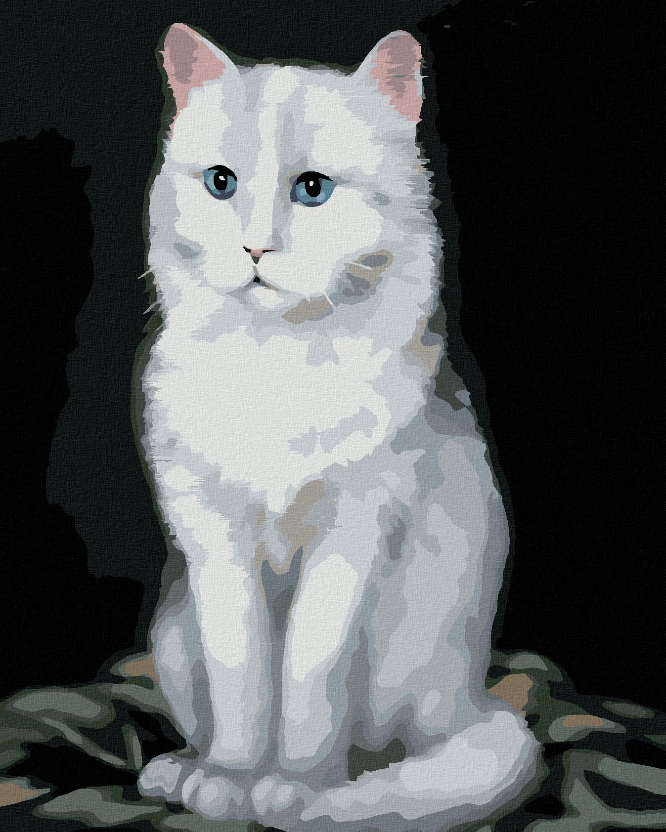 zuty Malování podle čísel - BÍLÝ KOCOUR 2 (MYROSLAVA VOLOSCHUK) - Rozměr: 40x50 cm, Rámování: Varianta: bez rámu a bez vypnutí plátna - obrázek 1