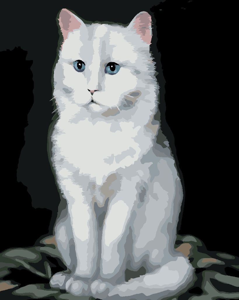 zuty Malování podle čísel - BÍLÝ KOCOUR 2 (MYROSLAVA VOLOSCHUK) - Rozměr: 40x50 cm, Rámování: Varianta: vypnuté plátno na rám - obrázek 5