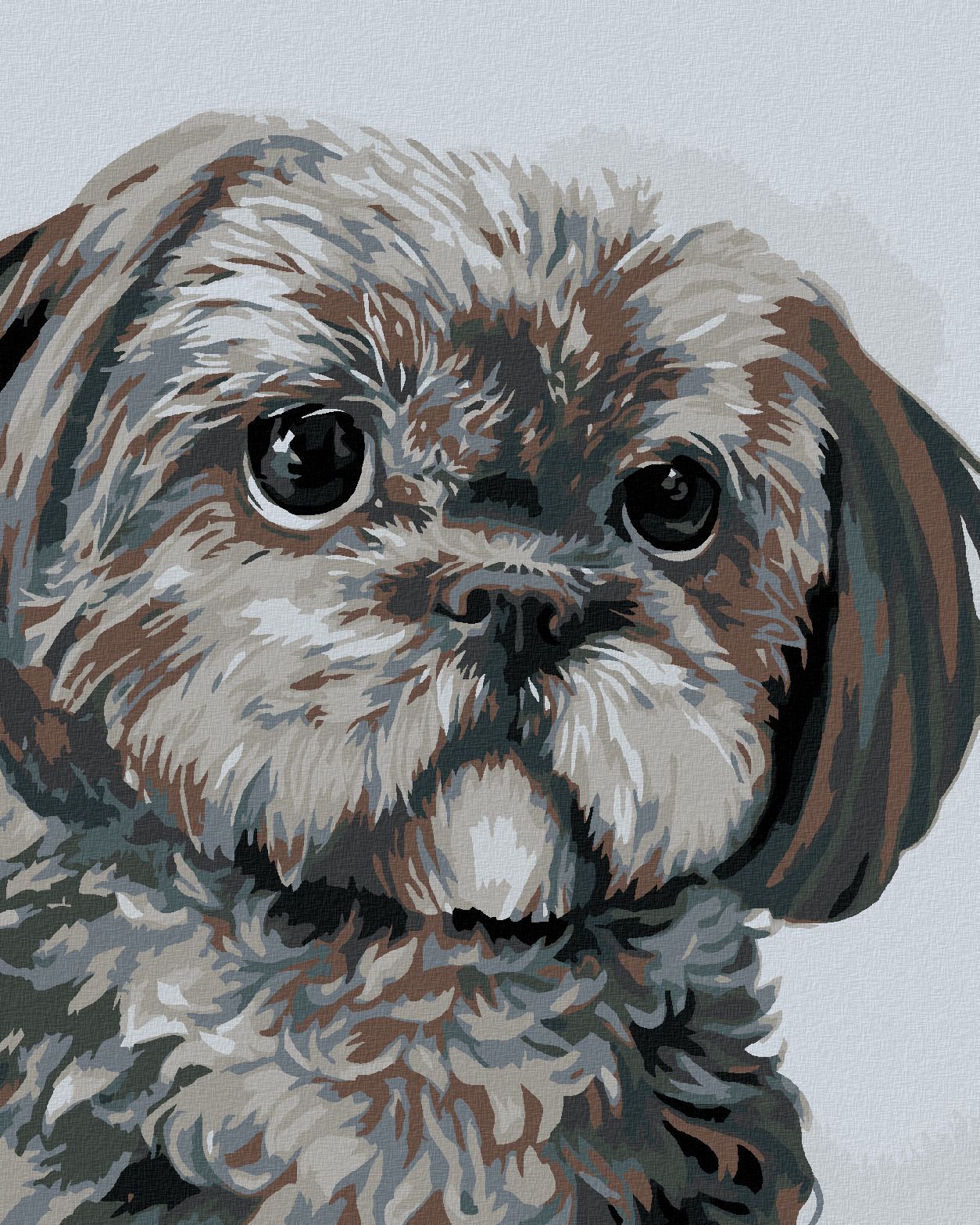 zuty Malování podle čísel - PEJSEK (MYROSLAVA VOLOSCHUK) - Rozměr: 40x50 cm, Rámování: Varianta: vypnuté plátno na rám - obrázek 1