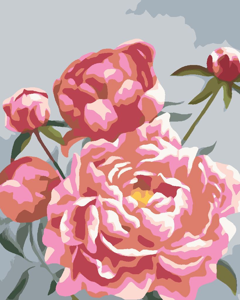 zuty Malování podle čísel - PIVOŇKY 4 (MYROSLAVA VOLOSCHUK) - Rozměr: 40x50 cm, Rámování: Varianta: vypnuté plátno na rám - obrázek 5