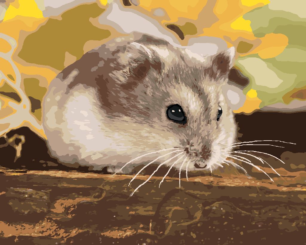 zuty Malování podle čísel - MALÝ KŘEČEK - Rozměr: 40x50 cm, Rámování: Varianta: vypnuté plátno na rám - obrázek 10