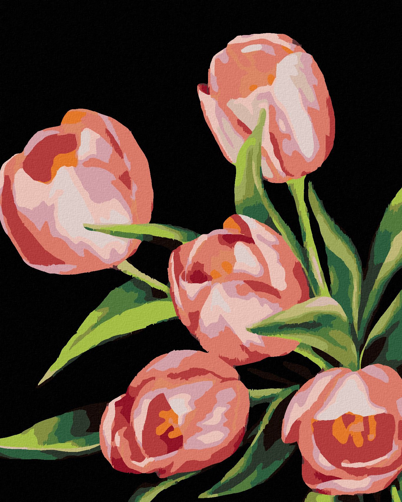 zuty Malování podle čísel - RŮŽOVÉ TULIPÁNY (MYROSLAVA VOLOSCHUK) - Rozměr: 40x50 cm, Rámování: Varianta: bez rámu a bez vypnutí plátna - obrázek 1