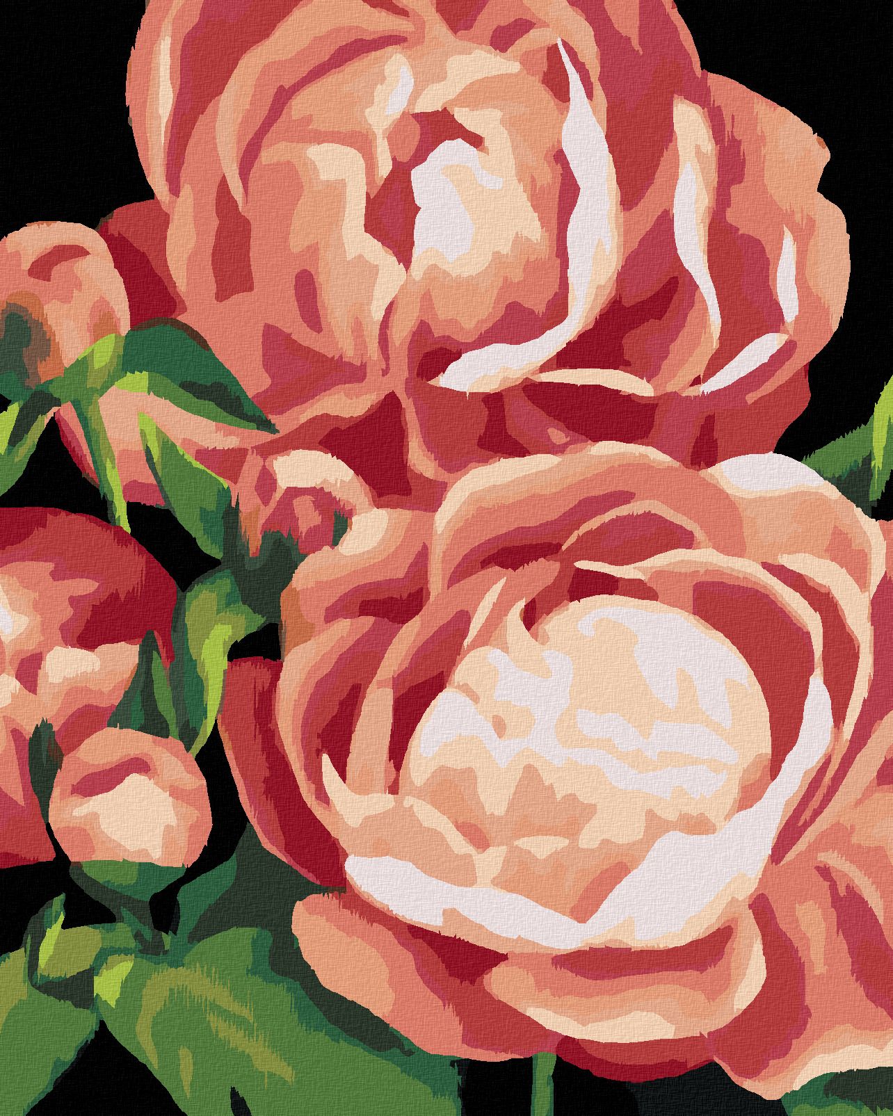 zuty Malování podle čísel - PIVOŇKY 3 (MYROSLAVA VOLOSCHUK) - Rozměr: 40x50 cm, Rámování: Varianta: vypnuté plátno na rám - obrázek 1