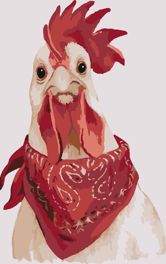 zuty Malování podle čísel - KOHOUT S ŠÁTKEM (MYROSLAVA VOLOSCHUK) - Rozměr: 40x50 cm, Rámování: Varianta: vypnuté plátno na rám - obrázek 4