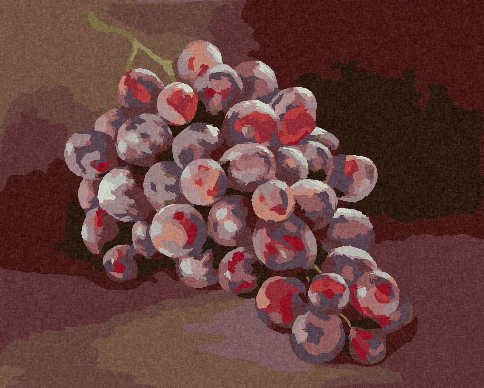 zuty Malování podle čísel - HROZNY 1 (MYROSLAVA VOLOSCHUK) - Rozměr: 40x50 cm, Rámování: Varianta: vypnuté plátno na rám - obrázek 1
