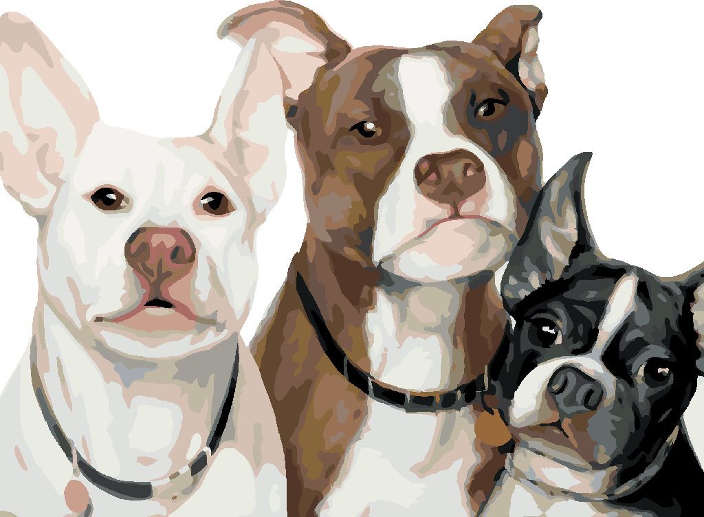 zuty Malování podle čísel - PSÍ RODINKA (MYROSLAVA VOLOSCHUK) - Rozměr: 40x50 cm, Rámování: Varianta: bez rámu a bez vypnutí plátna - obrázek 7