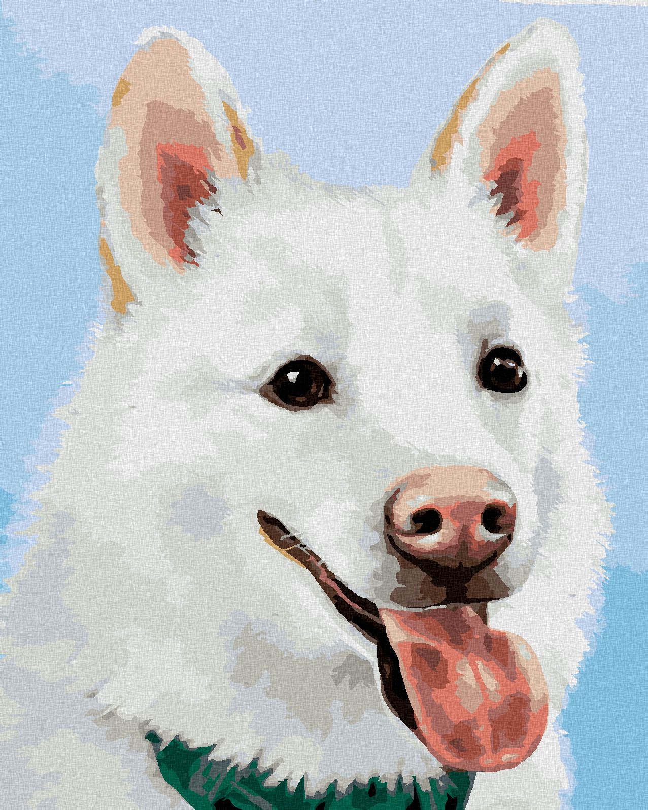 zuty Malování podle čísel - BÍLÝ ŠVÝCARSKÝ OVČÁK (MYROSLAVA VOLOSCHUK) - Rozměr: 40x50 cm, Rámování: Varianta: bez rámu a bez vypnutí plátna - obrázek 1