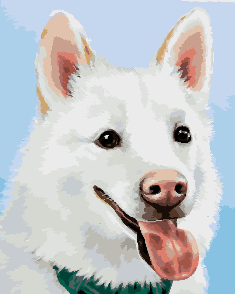 zuty Malování podle čísel - BÍLÝ ŠVÝCARSKÝ OVČÁK (MYROSLAVA VOLOSCHUK) - Rozměr: 40x50 cm, Rámování: Varianta: vypnuté plátno na rám - obrázek 8