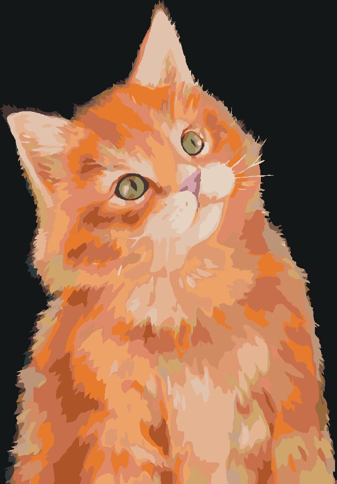 zuty Malování podle čísel - ZRZAVÝ KOCOUR NA TMAVÉM POZADÍ (MYROSLAVA VOLOSCHUK) - Rozměr: 40x50 cm, Rámování: Varianta: bez rámu a bez vypnutí plátna - obrázek 6