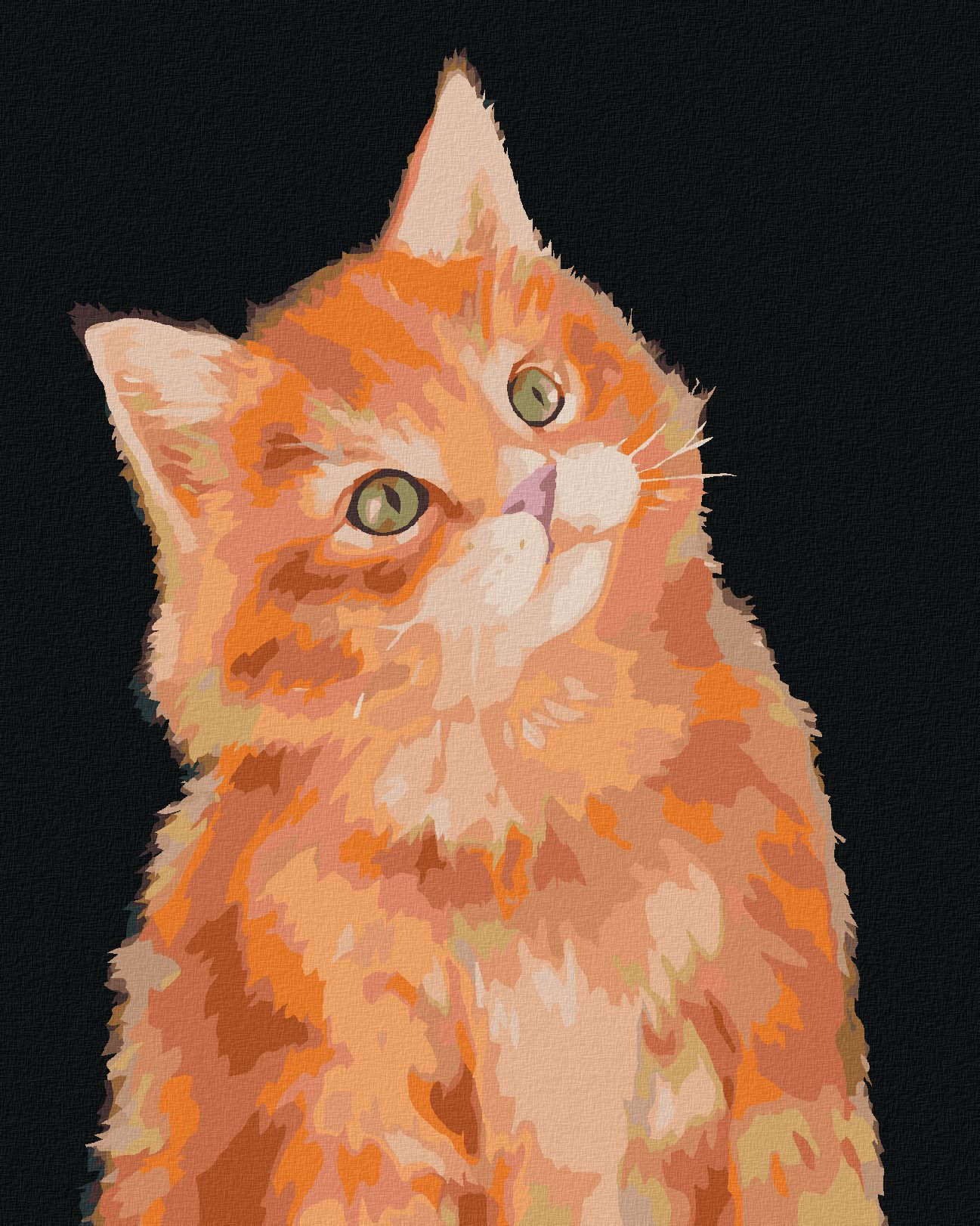 zuty Malování podle čísel - ZRZAVÝ KOCOUR NA TMAVÉM POZADÍ (MYROSLAVA VOLOSCHUK) - Rozměr: 40x50 cm, Rámování: Varianta: vypnuté plátno na rám - obrázek 1