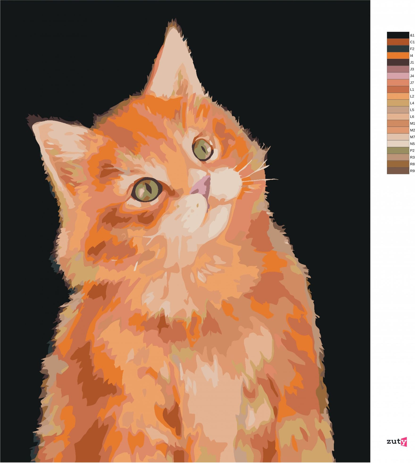 zuty Malování podle čísel - ZRZAVÝ KOCOUR NA TMAVÉM POZADÍ (MYROSLAVA VOLOSCHUK) - Rozměr: 40x50 cm, Rámování: Varianta: vypnuté plátno na rám - obrázek 7