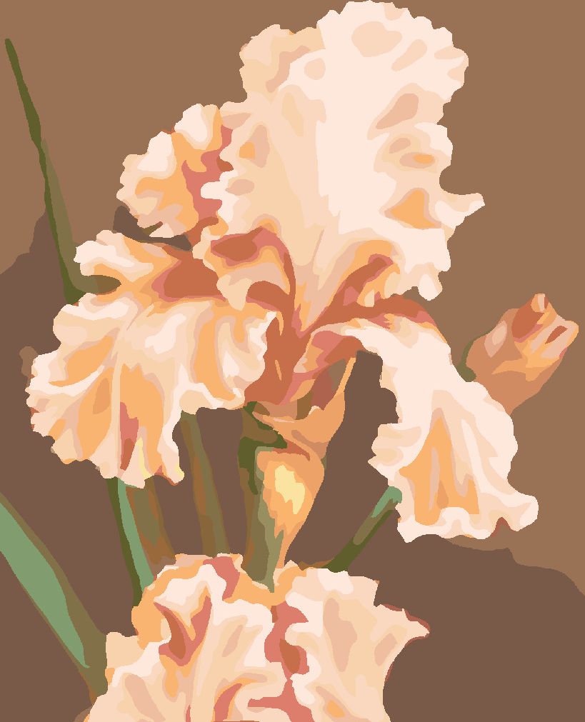 zuty Malování podle čísel - RŮŽOVÝ IRIS (MYROSLAVA VOLOSCHUK) - Rozměr: 40x50 cm, Rámování: Varianta: vypnuté plátno na rám - obrázek 10