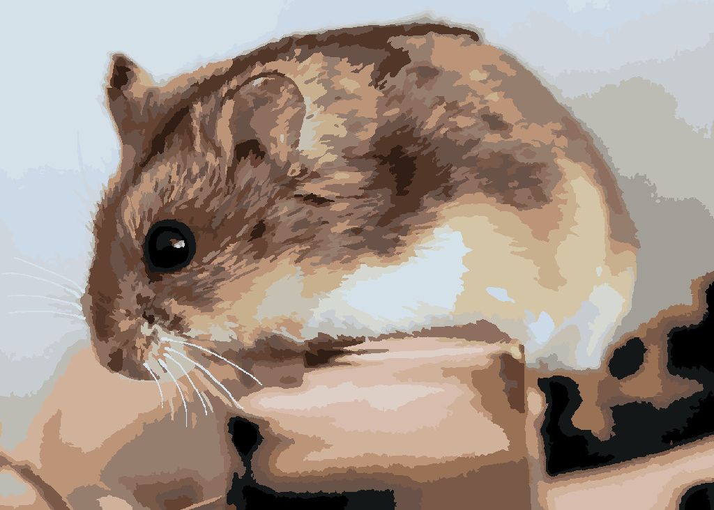 zuty Malování podle čísel - KŘEČEK NA DŘEVĚ - Rozměr: 40x50 cm, Rámování: Varianta: vypnuté plátno na rám - obrázek 7