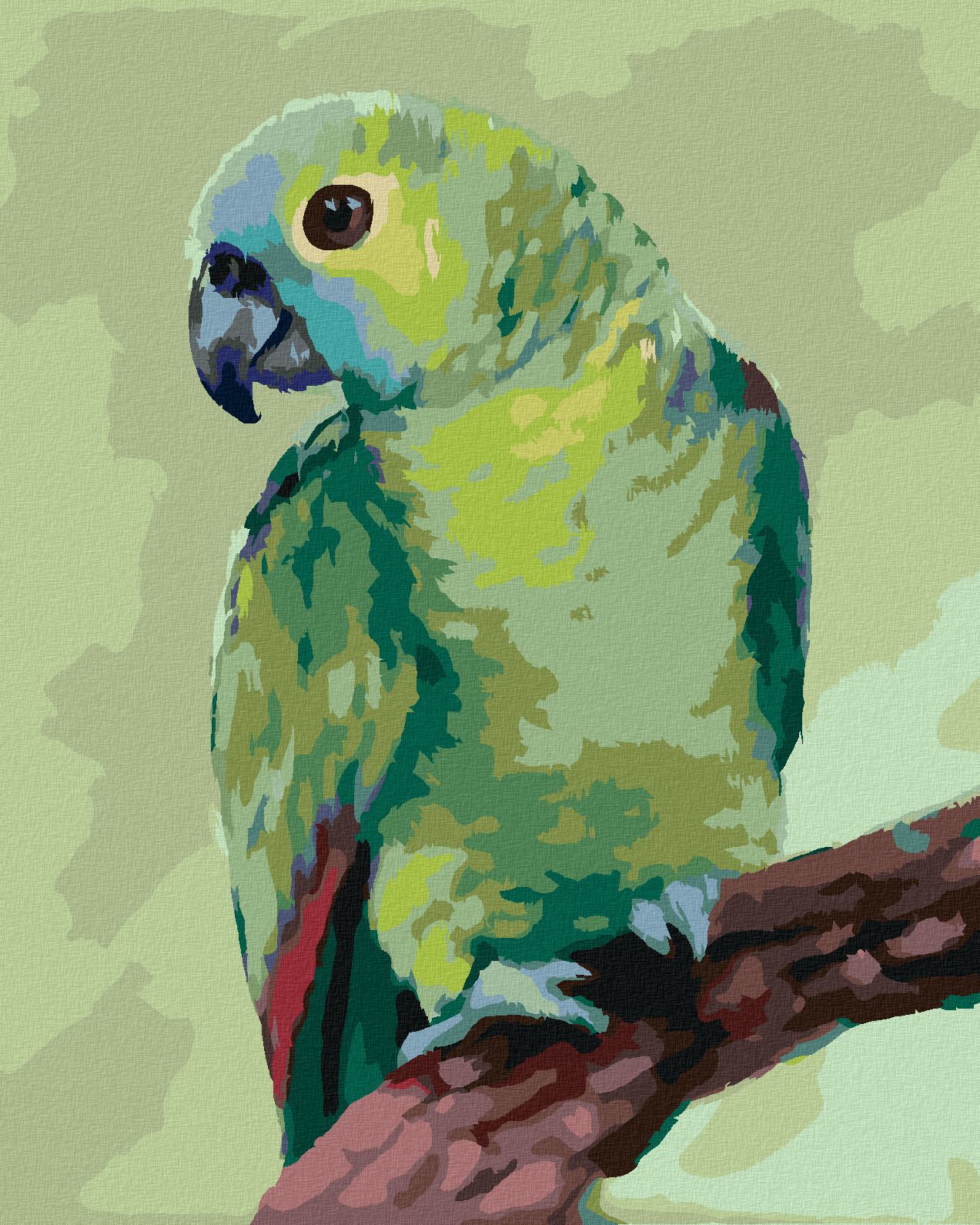 zuty Malování podle čísel - PAPOUŠEK (MYROSLAVA VOLOSCHUK) - Rozměr: 40x50 cm, Rámování: Varianta: vypnuté plátno na rám - obrázek 1