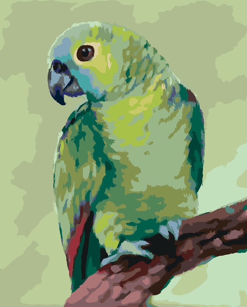zuty Malování podle čísel - PAPOUŠEK (MYROSLAVA VOLOSCHUK) - Rozměr: 40x50 cm, Rámování: Varianta: vypnuté plátno na rám - obrázek 3