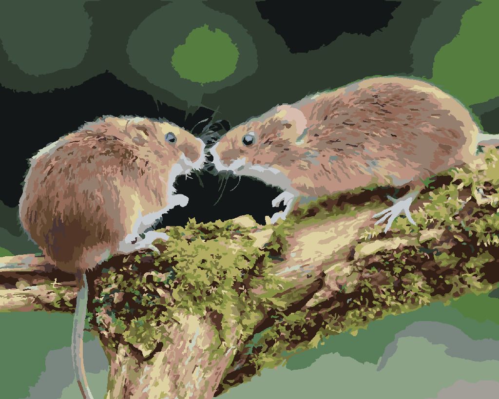 zuty Malování podle čísel - DVĚ MYŠKY V LESE - Rozměr: 40x50 cm, Rámování: Varianta: vypnuté plátno na rám - obrázek 5