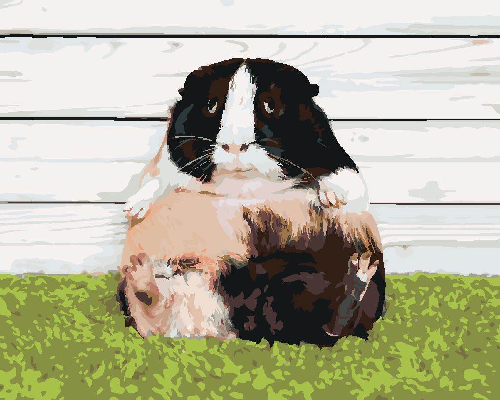 zuty Malování podle čísel - LÍNÉ MORČE - Rozměr: 40x50 cm, Rámování: Varianta: vypnuté plátno na rám - obrázek 4